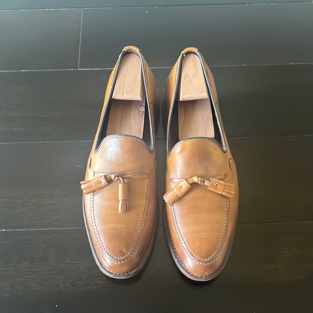 Allen Edmond Grayson loafer (9C)